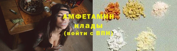 СК Медвежьегорск