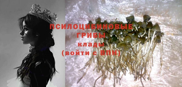 СК Медвежьегорск