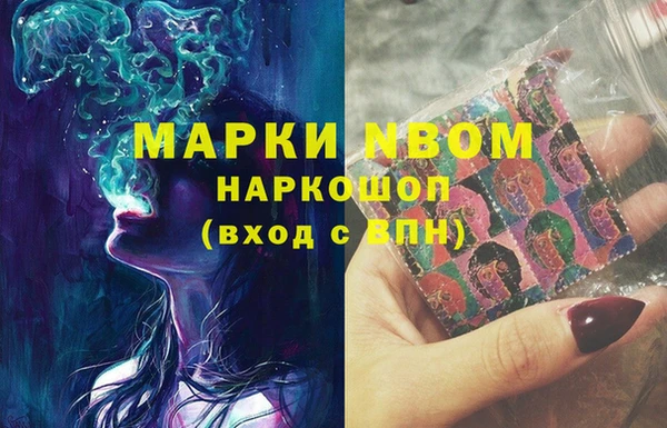 СК Медвежьегорск