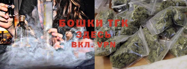 СК Медвежьегорск