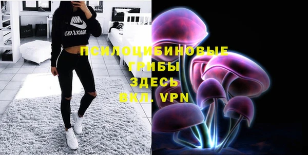 марки lsd Медногорск