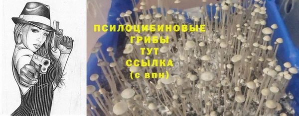 марки lsd Медногорск