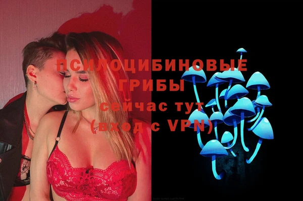 марки lsd Медногорск