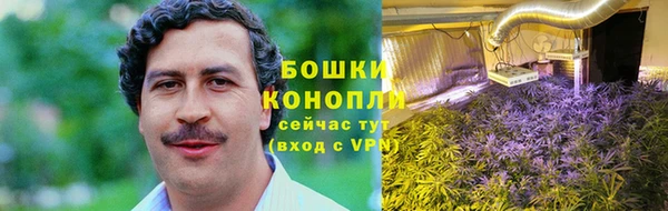 СК Медвежьегорск