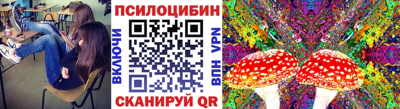 Купить  Яхрома  Псилоцибиновые грибы Psilocybine cubensis 