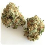Шишки "White Widow"  (Белая вдова)  Гидропоника -  Бошка VHQ в Яхроме