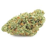 Шишки OG Kush  (Гидропоника, бошки) VHQ в Яхроме